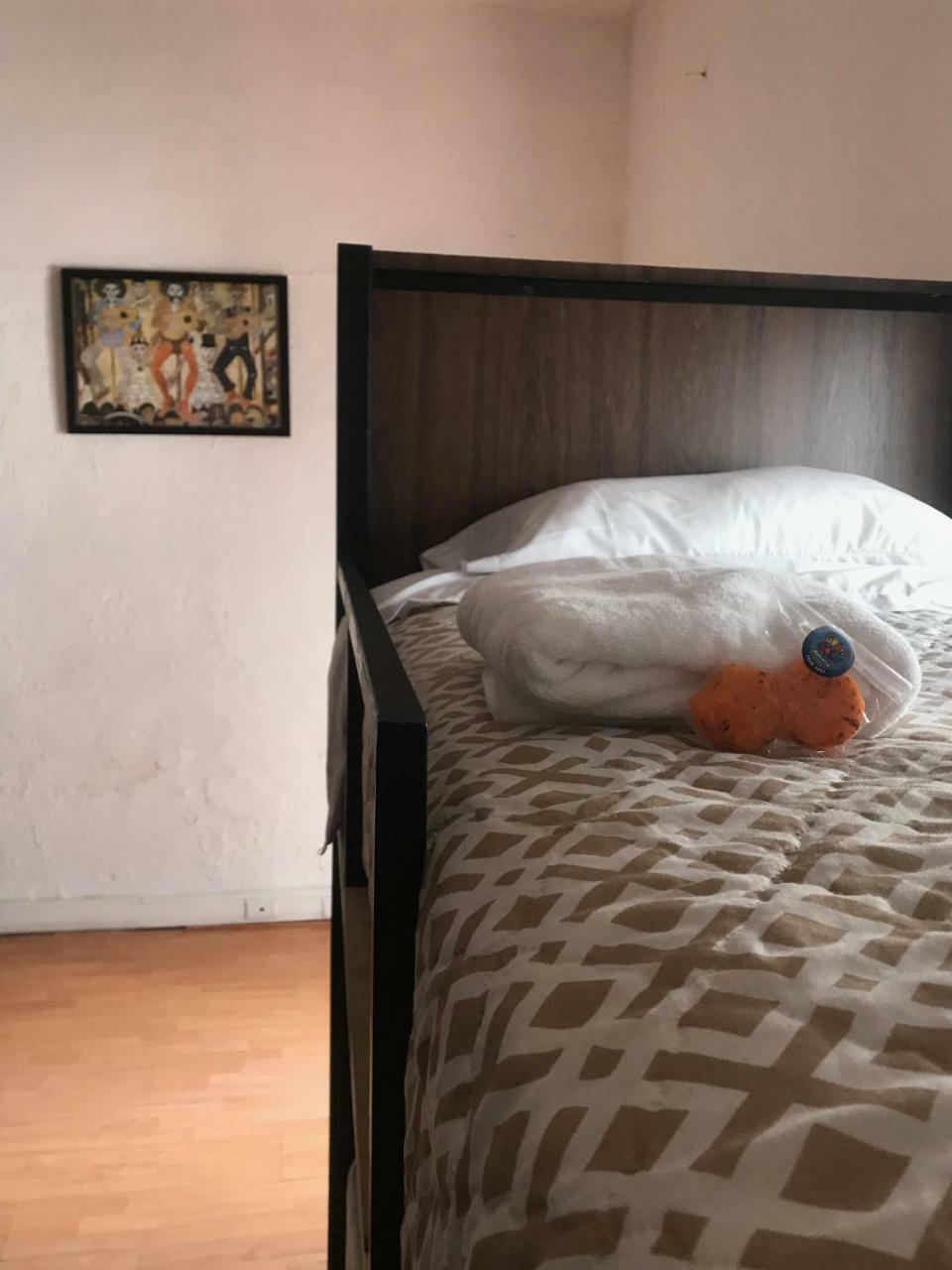Casa Frida Hostel Mexico City